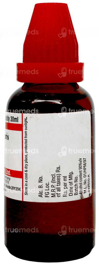 Dr Willmar Schwabe Cydonia Vulgaris 1M Dilution 30Ml